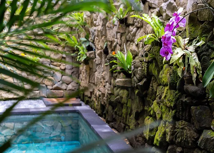 Essenzia - Private Pool&authentic Experience *